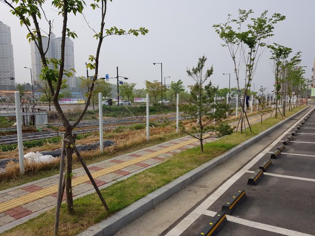 주차3.jpg