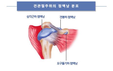 초2.jpg